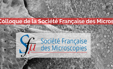 Colloque de la Sfµ 2019