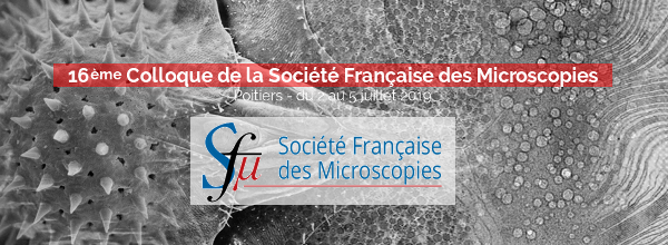 Colloque de la Sfµ 2019